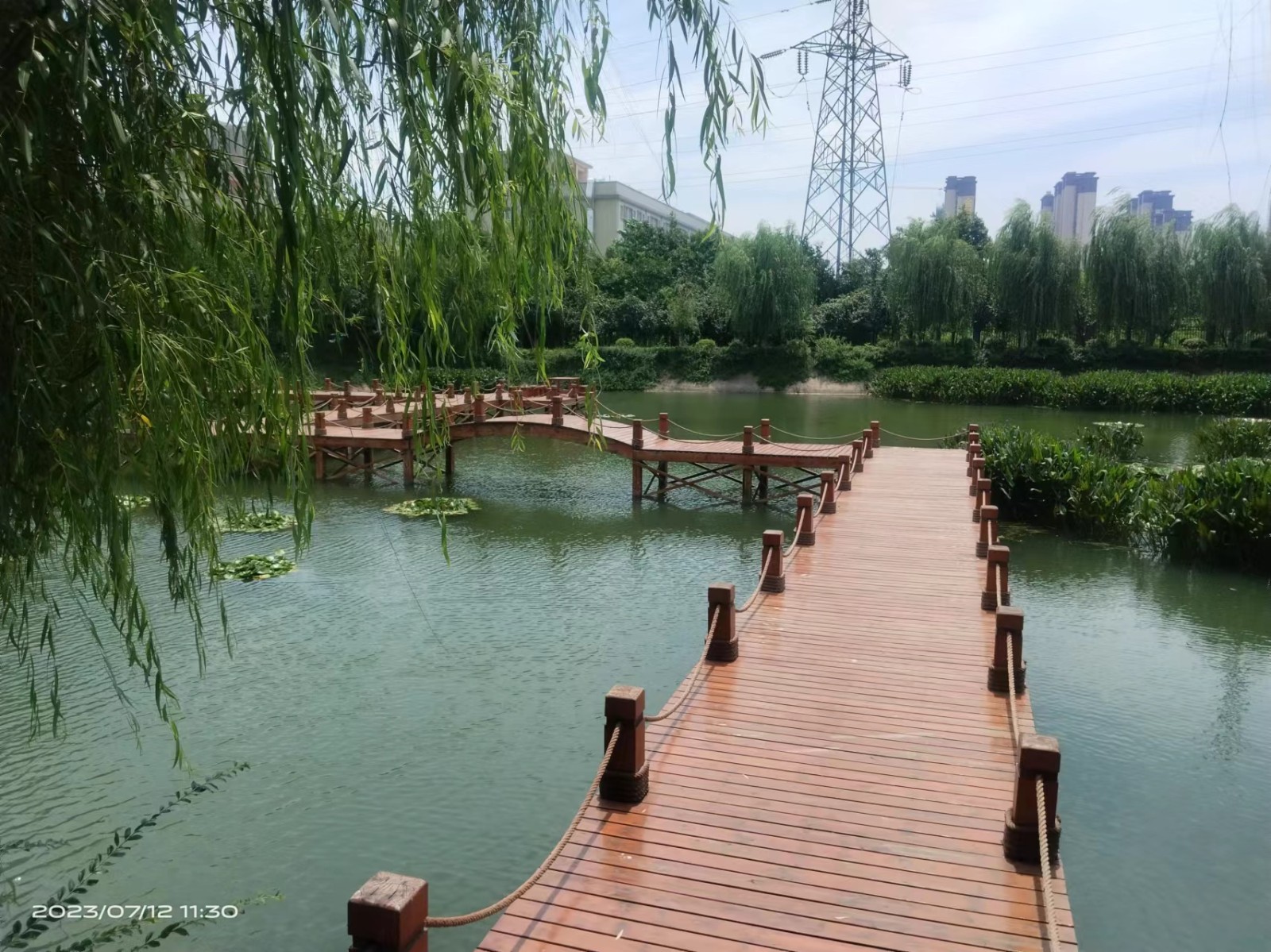 1709108927480880.jpg 孝南區(qū)人民檢察院維修升級(jí)改造項(xiàng)目-綠化改造 (3).jpg