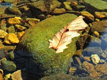 昆明房產(chǎn)信息網(wǎng)——引領(lǐng)您走進(jìn)云南房產(chǎn)新時代