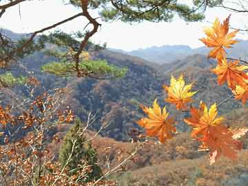 關(guān)于我們 第211頁